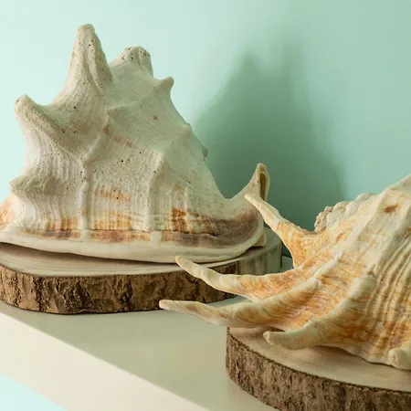 Διαμέρισμα Pe Na Da Foz *