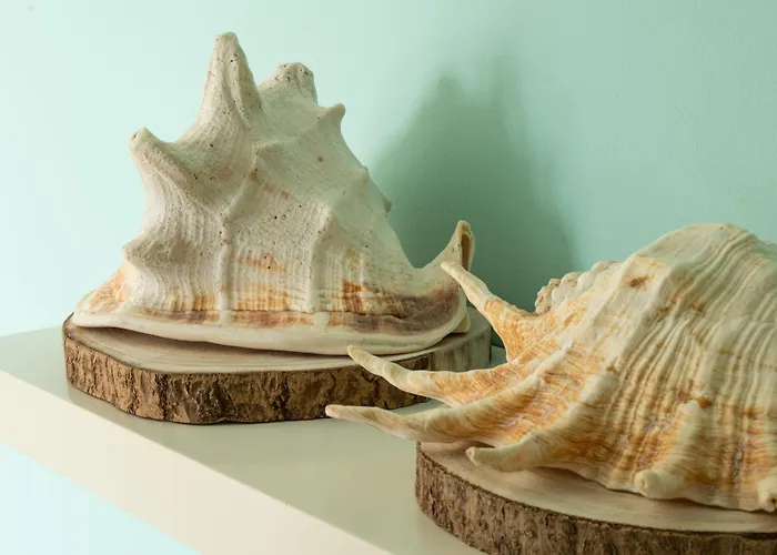 Apartamento Pe Na Da Foz *