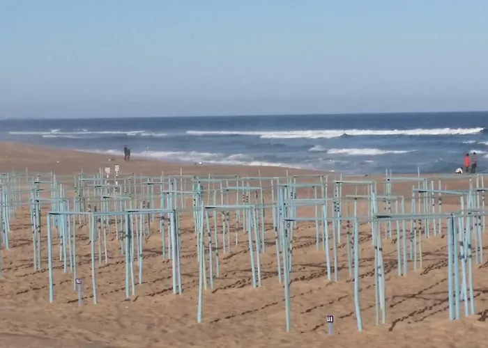 Pe Na Da Foz Apartamento